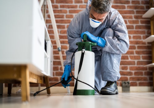 Avoiding Unwelcome Surprises: The Importance Of Exterminator Services During Your Charleston Home Buying Process