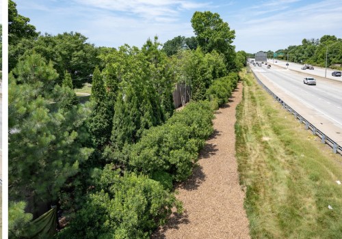 How Tree Care Can Influence Home Buying In Louisville, Kentucky